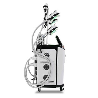 Coolsculpting-Maschine cryo Schwarzes 110V 240V 800W