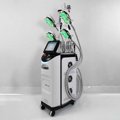 Unterleib CER Cryolipolysis-Maschine, fetter Frost Cryolipolysis, der Maschine abnimmt