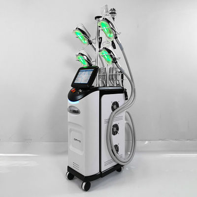 Doppeltes Chin Cryolipolysis Slimming Machine 110V 220V